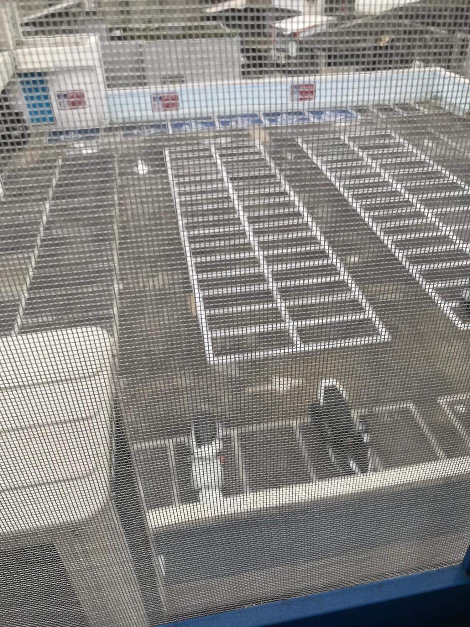 ツーリスト バニー ホステル 淡水 エクステリア 写真